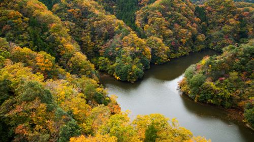 Ibaraki Autumn Special – Hitachi Seaside Park