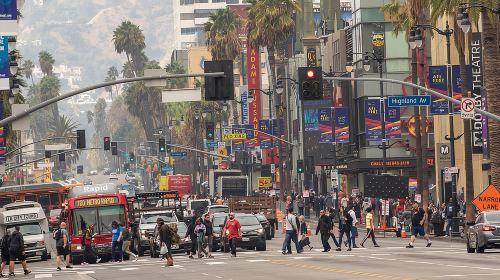 Hollywood Open Bus Tours Day Tours