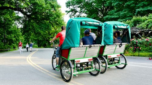 Central Park Pedicab Tour with Natural History Museum Access Day Tours