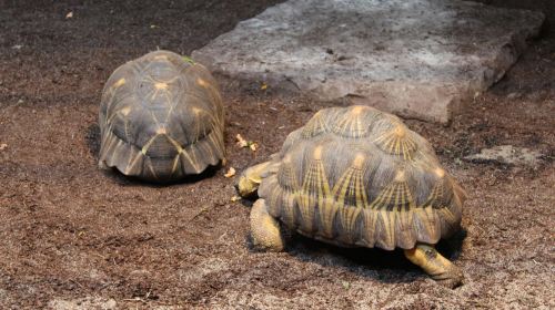 Loebbecke-Museum und Aquazoo