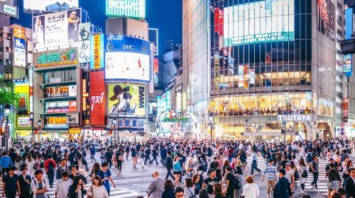 Tokyo Private Tour by Car with English speaking driver Day Tours