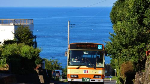 Izu Kogen & Kinosaki 1-day/2-day Free Ride Pass for Tokai Bus Transport Passes