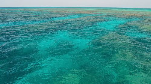 Key West Reef Snorkel & Sail Adventure