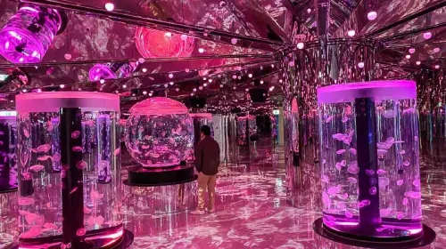 Xpark Aquarium Tickets