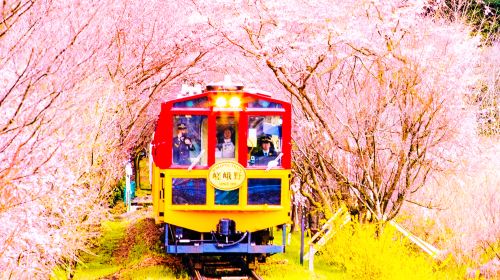 Small group of 9: Kyoto 1-day tour to Kifune shrine, Arashiyama and Sanzen-in