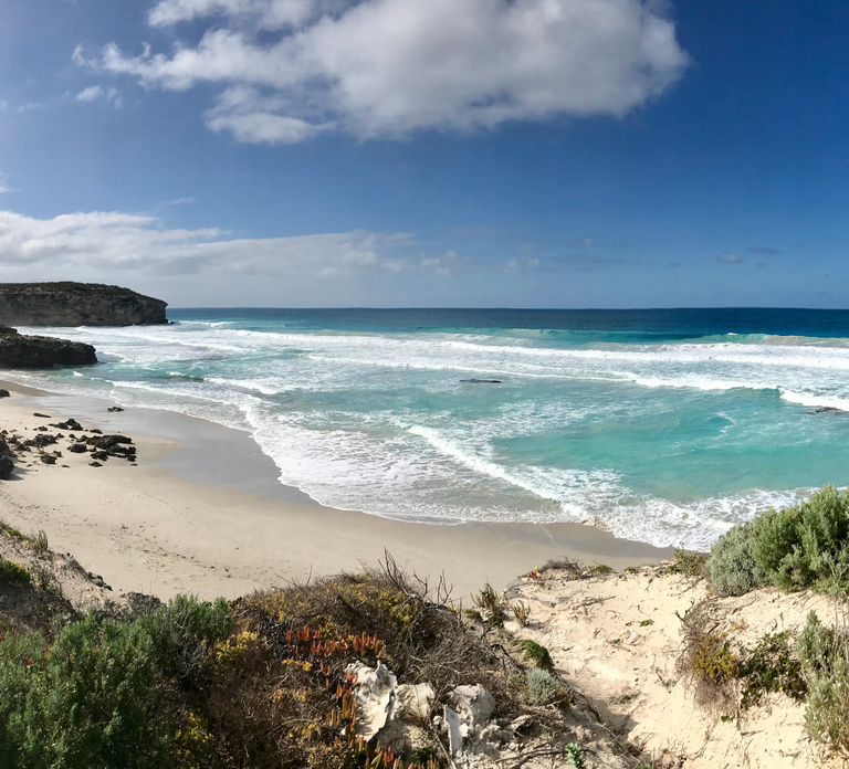 Kangaroo Island: Scenic, Nature & Wildlife Tour