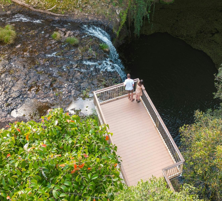 Byron Bay: Sanctuary and Waterfall Tour with Breakfast