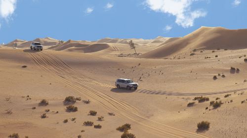 Abu Dhabi Al Khayma Seahorse Morning Dune Bashing Experience Day Tours