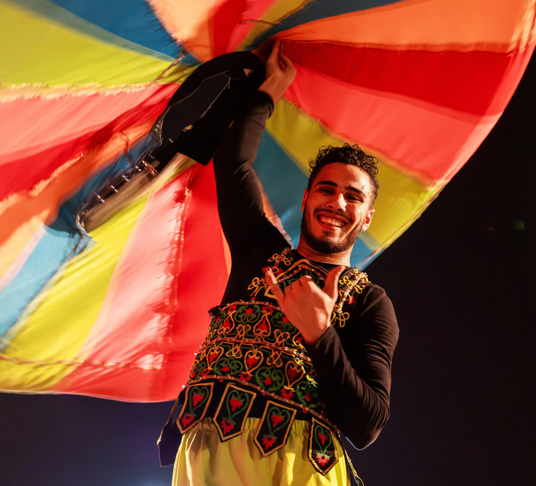 Dubai Desert Safari - Premium BBQ Dinner, Camel Ride & Shows