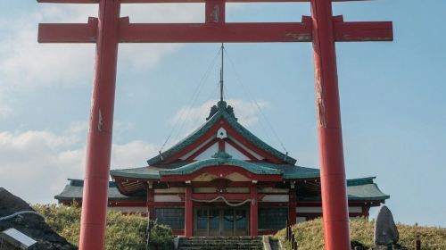 Fuji-Hakone: Day Tour from Tokyo + Return by Shinkansen + Optional Lunch