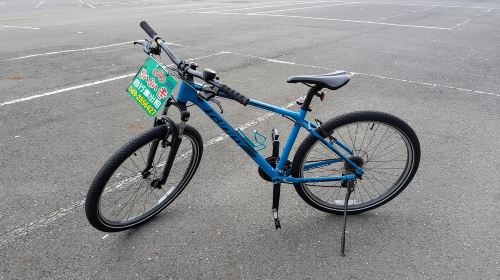 Sun Moon Lake Bike & E-vehicle Rentals with Optional Boat Ticket
