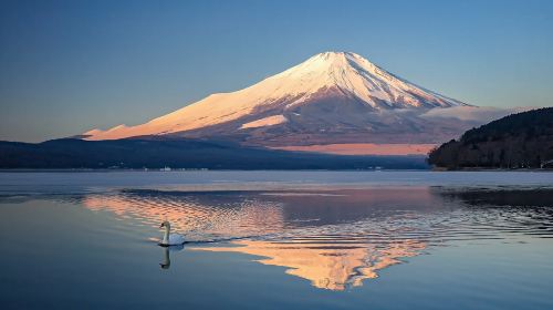 1-day tour to Mount Fuji, Oshino hakkai, 5th station and Gotemba Premium Outlets from Tokyo