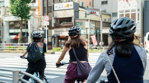 Tokyo : E-Bike Guided Tour Highlights and Hidden Gems Day Tours