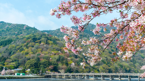 Small group of 9: Kyoto Arashiyama + Kifune Shrine + Sanzen-in 1-day tour with optional Sagano Scenic Railway