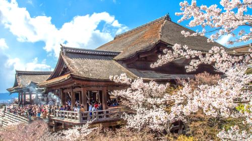 1-day tour to Kyoto Fushimi Inari Taisha + ancient temples in Kyoto Day Tours