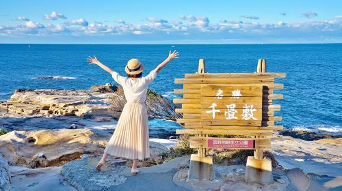 1-day tour to Wakayama & Shirahama hot spring – Visit the cat station master