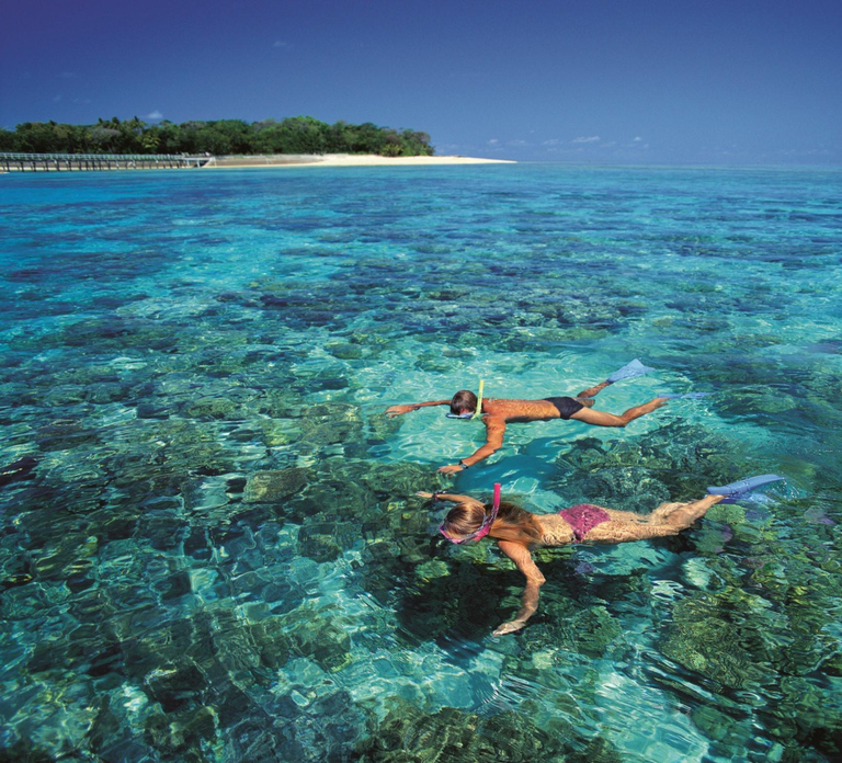 From Cairns: Full-Day Green Island Cruise