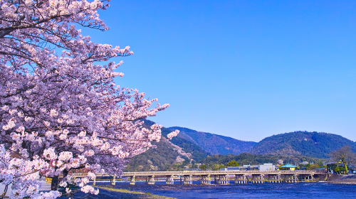 Small group of 9: Kyoto Arashiyama + Kifune Shrine + Sanzen-in 1-day tour with optional Sagano Scenic Railway