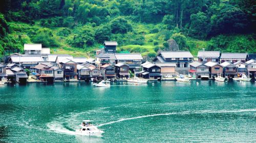 Kyoto Amanohashidate & Ine Fishing Village 1-Day Tour