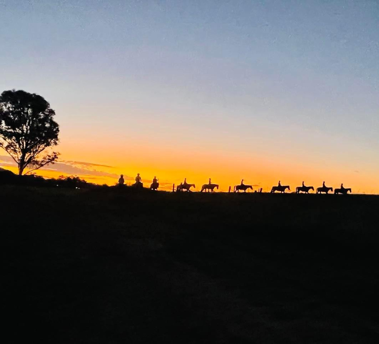 Hunter Valley: Sunset Horse Riding Tour