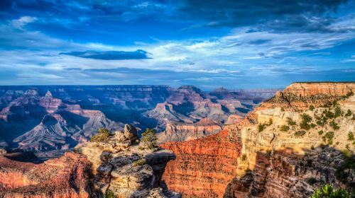 1-day tour of Grand Canyon National Park [South Rim + Lunch] Day Tours