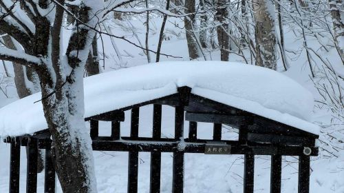 Otaru Mt.Tengu Ropeway Round-Trip Ticket Adult