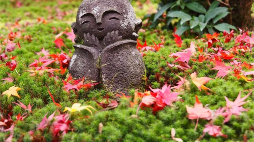 Japan Discovery Tour – Lake Biwa, Shirahige Jinja, Observation Deck