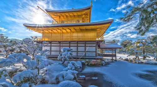 Osaka Private Vehicle Charter with Driver to Kyoto, Nara, Uji or Kobe (English-speaking driver | Customizable itinerary ) Day Tours