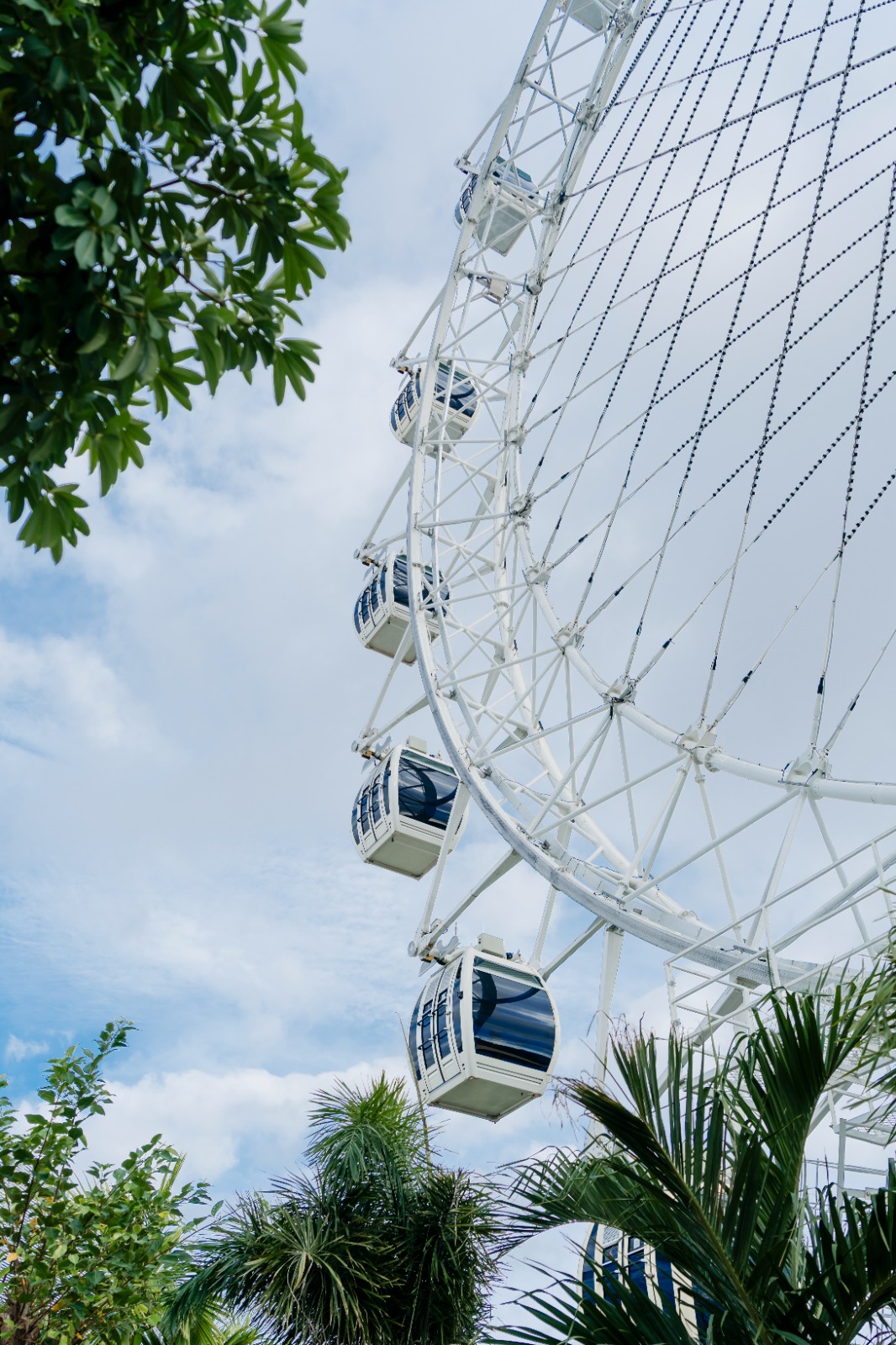 The Wheel Bali