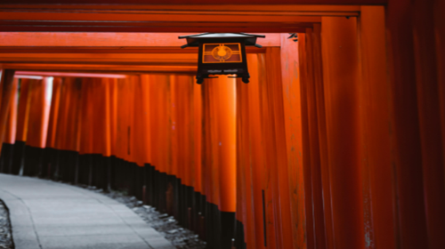 1-day tour to Nara Park deer + Fushimi Inari Taisha + Kyoto ancient temples in Kansai, Japan