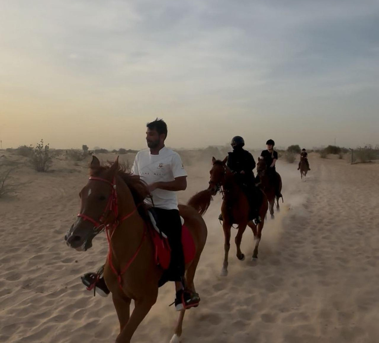 Dubai: Desert Horseback Riding Experience