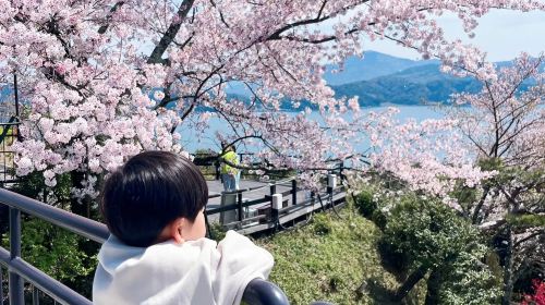 Kyoto by the Sea of Japan – Amanohashidate, Ine Fishing Village
