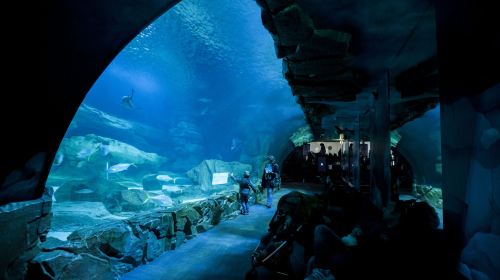 Go City Paris Explorer Pass Upgrade Including Paris Museum Pass - Go City Paris All-Inclusive Pass PLUS