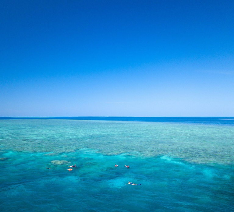 Cairns: Great Barrier Reef Overnight Snorkeling Boat Trip