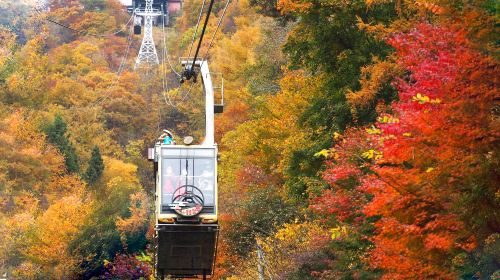 1-day tour with free cable car · Tokyo Fuji mountain Kawaguchiko panoramic cable car · viral Lawson · Oshino hakkai