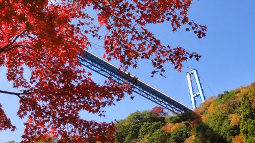 Ibaraki Autumn Special – Hitachi Seaside Park