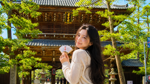 Explore the hidden gems of the sea of Kyoto! 1-day tour to Amanohashidate & Ine boat houses