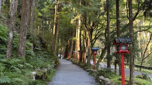 Kyoto: Kifune Shrine and the Sacred Kifune Valley Day Trip Day Tours