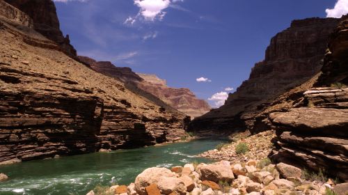 Grand Canyon West + Joshua Tree Photostop + Hoover Dam Overlook + Hemenway Park Bus Tour