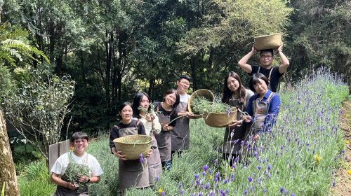 Lavender Forest Jianshi Store