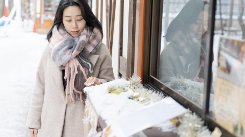 Japan Sapporo travel photography[Local professional photographer for 1-hour photo shoot · Photos delivered within 7 days · 100+ unedited photos included]