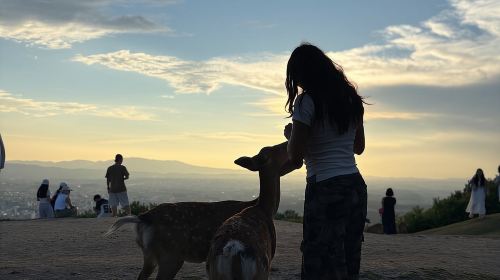 Discover Ancient Nara: Private Car Tour from Kyoto or Osaka Day Tours