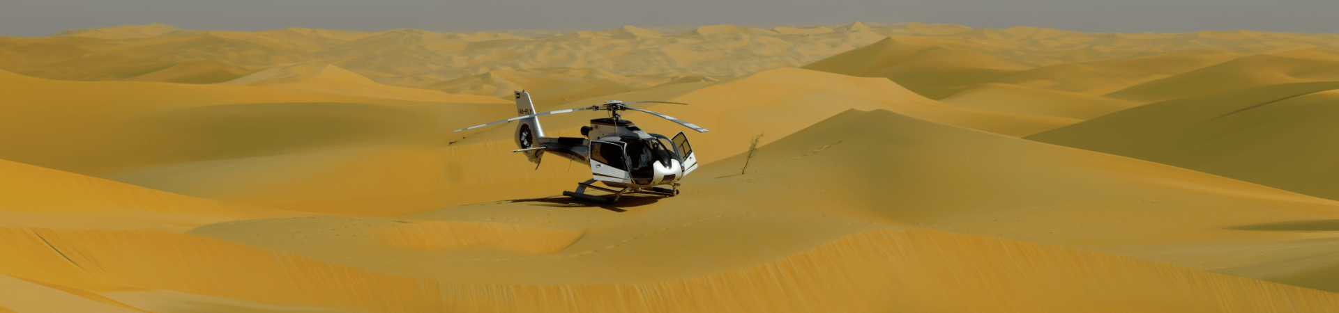 Helicopter Ride in Dubai