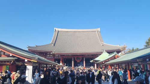 Tokyo Private Tour by Car with English speaking driver Day Tours