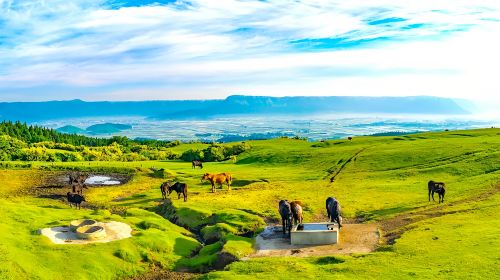 Kyushu Hidden Gems 1-day Tour – Kamishikimi Kumanoimasu Shrine, Mount Aso