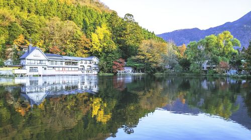 1-day tour to Kyushu Wildlife Park African Safari – Beppu Umi Jigoku