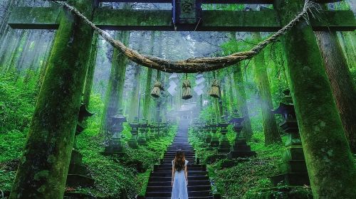 A day trip to Kumamoto's Kamishomi Kumanoza Shrine, Miyazaki's Takachiho Gorge, and Ten'an Kawara