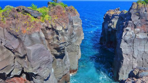 Izu Omuroyama Day Tour from Tokyo: Mt. Omuro, Shaboten Zoo & Jogasaki Coast