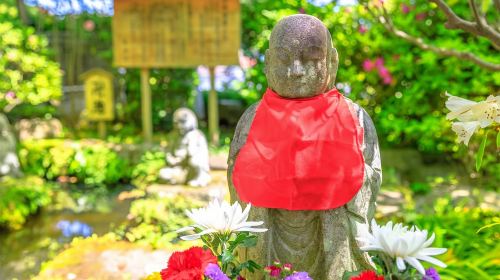 Tokyo Yokohama Night View Tour With Kamakura And Enoshima Day Tours
