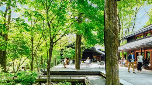 1-day tour from Tokyo to Karuizawa and Kawagoe Hikawa Shrine Day Tours